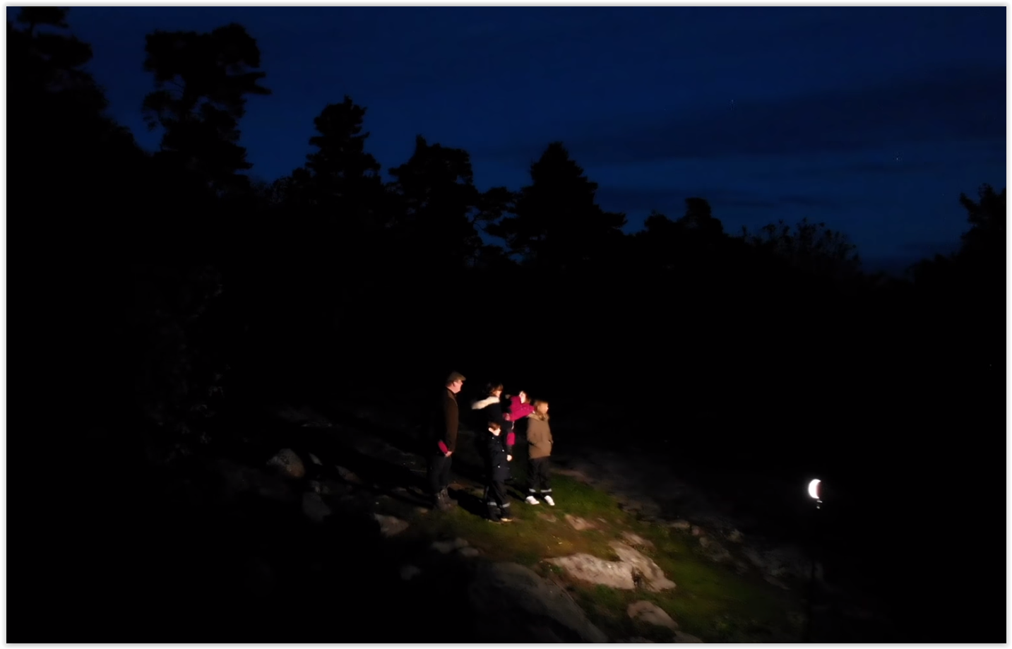 Svensk dokumentärfilm från 2019 om PANS (PANDAS)